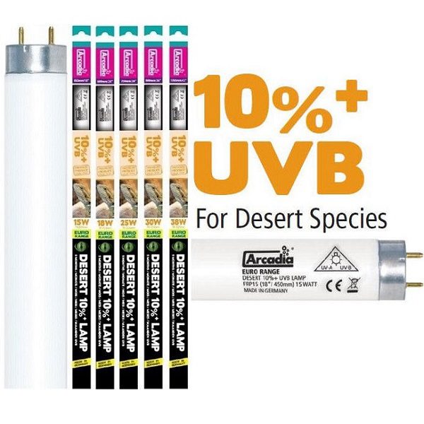 Arcadia UVB neonke Desert 10%