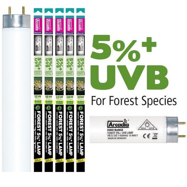 Arcadia UVB neonke Forest 5%